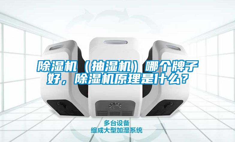 香蕉福利视频机（抽湿机）哪个牌子好，香蕉福利视频机原理是什么？