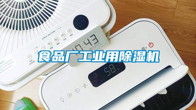 食品厂工业用香蕉福利视频机