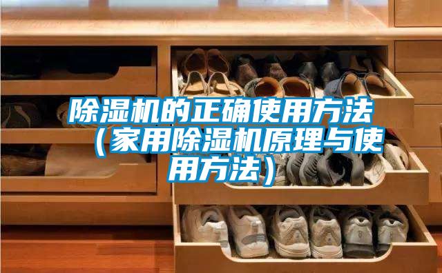 香蕉福利视频机的正确使用方法（家用香蕉福利视频机原理与使用方法）