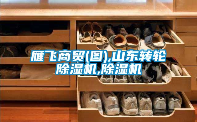 雁飞商贸(图),山东转轮香蕉福利视频机,香蕉福利视频机