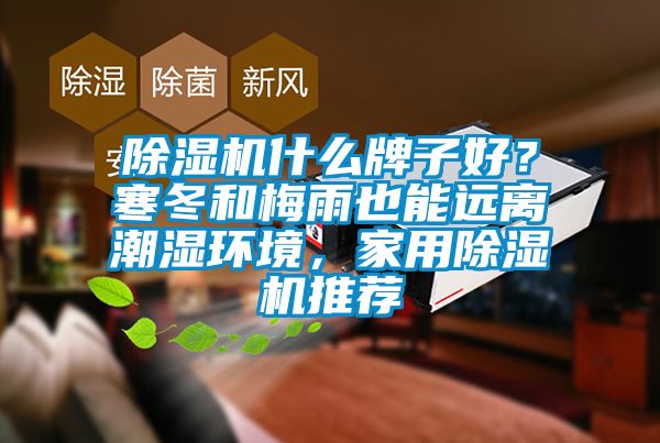 香蕉福利视频机什么牌子好？寒冬和梅雨也能远离潮湿环境，家用香蕉福利视频机推荐