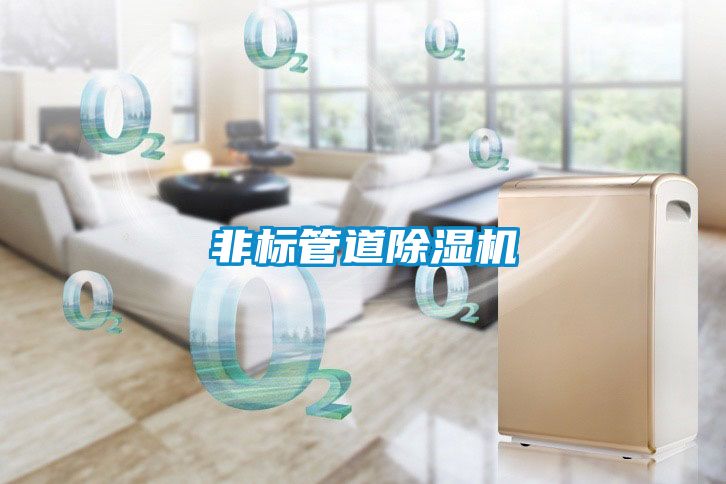 非标管道香蕉福利视频机