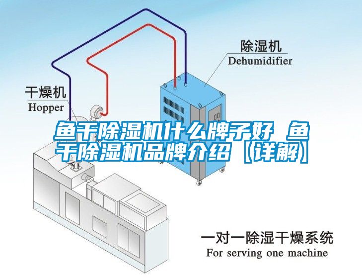 鱼干香蕉福利视频机什么牌子好 鱼干香蕉福利视频机品牌介绍【详解】