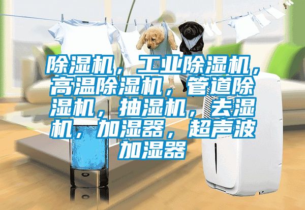 香蕉福利视频机，工业香蕉福利视频机，高温香蕉福利视频机，管道香蕉福利视频机，抽湿机，去湿机，加湿器，超声波加湿器