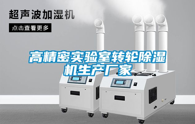 高精密实验室转轮香蕉福利视频机生产厂家