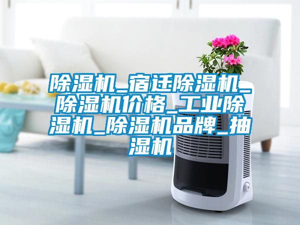 香蕉福利视频机_宿迁香蕉福利视频机_香蕉福利视频机价格_工业香蕉福利视频机_香蕉福利视频机品牌_抽湿机