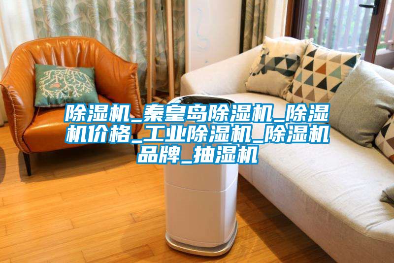 香蕉福利视频机_秦皇岛香蕉福利视频机_香蕉福利视频机价格_工业香蕉福利视频机_香蕉福利视频机品牌_抽湿机