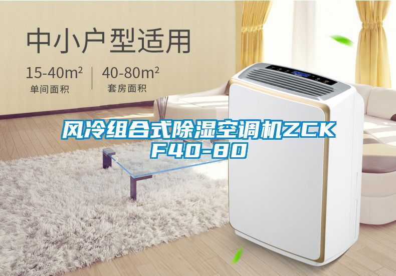 风冷组合式香蕉福利视频空调机ZCKF40-80