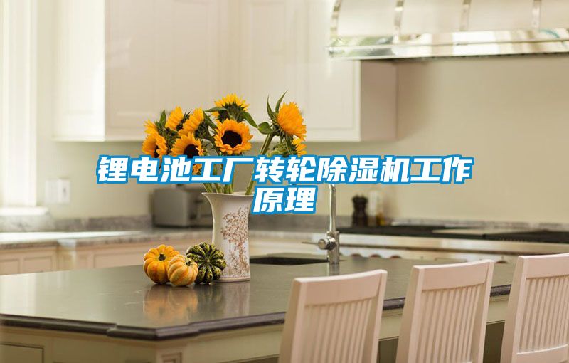 锂电池工厂转轮香蕉福利视频机工作原理