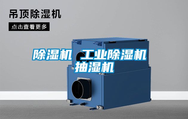 香蕉福利视频机 工业香蕉福利视频机 抽湿机