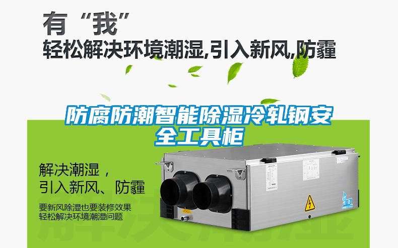 防腐防潮智能香蕉福利视频冷轧钢安全工具柜