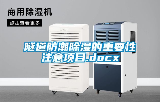 隧道防潮香蕉福利视频的重要性注意项目.docx