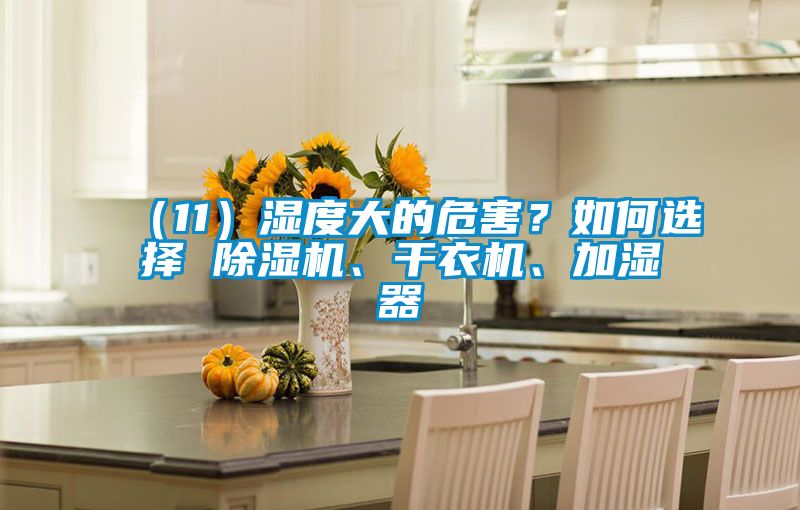 （11）湿度大的危害？如何选择 香蕉福利视频机、干衣机、加湿器