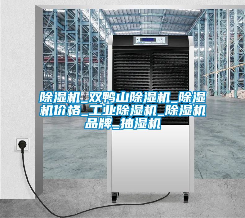 香蕉福利视频机_双鸭山香蕉福利视频机_香蕉福利视频机价格_工业香蕉福利视频机_香蕉福利视频机品牌_抽湿机
