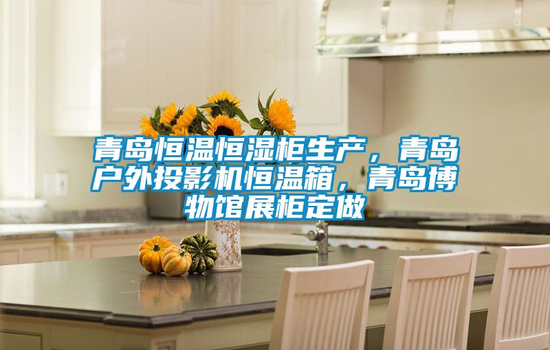 青岛恒温恒湿柜生产，青岛户外投影机恒温箱，青岛博物馆展柜定做