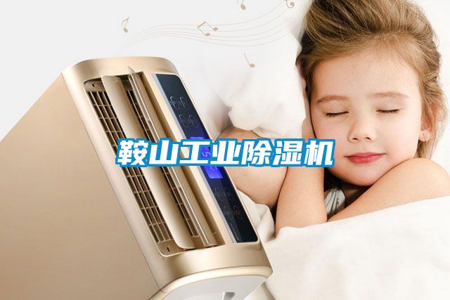 鞍山工业香蕉福利视频机