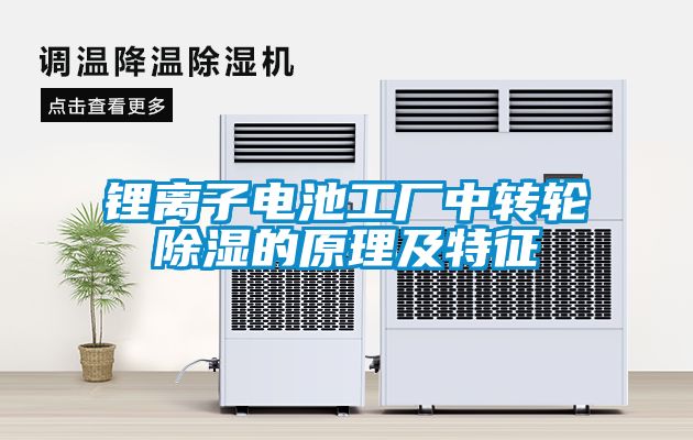 锂离子电池工厂中转轮香蕉福利视频的原理及特征