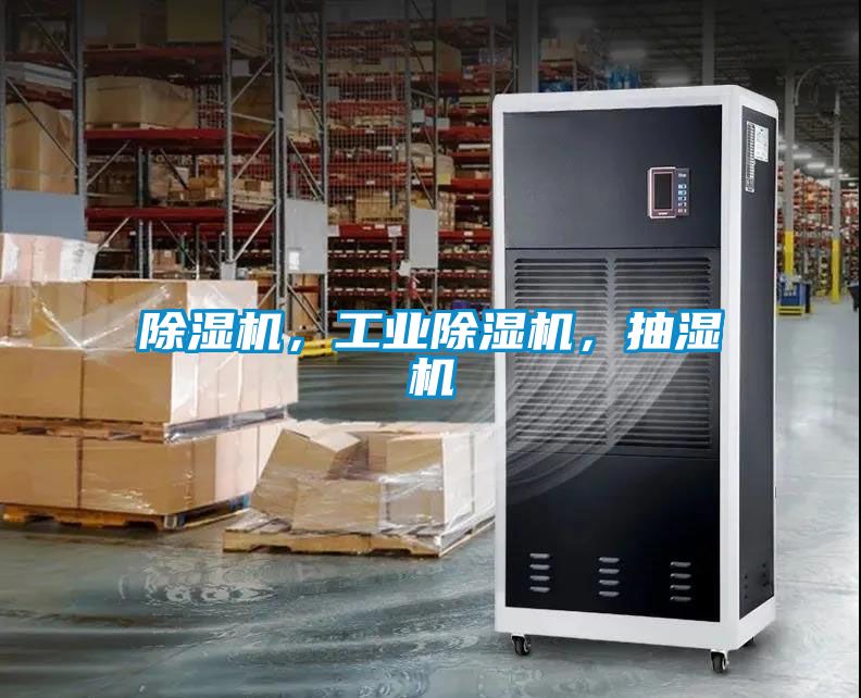 香蕉福利视频机，工业香蕉福利视频机，抽湿机
