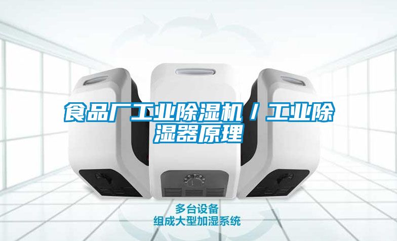 食品厂工业香蕉福利视频机／工业香蕉福利视频器原理