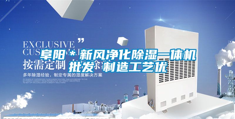 阜阳＊新风净化香蕉福利视频一体机批发 制造工艺优