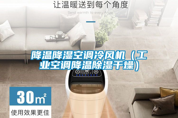 降温降湿空调冷风机（工业空调降温香蕉福利视频干燥）