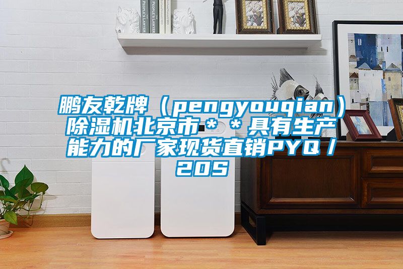 鹏友乾牌（pengyouqian）香蕉福利视频机北京市＊＊具有生产能力的厂家现货直销PYQ／20S