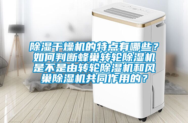 香蕉福利视频干燥机的特点有哪些？如何判断蜂巢转轮香蕉福利视频机是不是由转轮香蕉福利视频机和风巢香蕉福利视频机共同作用的？