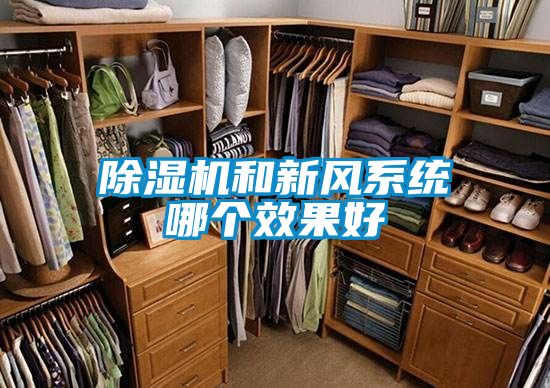 香蕉福利视频机和新风系统哪个效果好