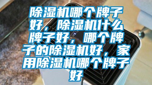 香蕉福利视频机哪个牌子好，香蕉福利视频机什么牌子好，哪个牌子的香蕉福利视频机好，家用香蕉福利视频机哪个牌子好
