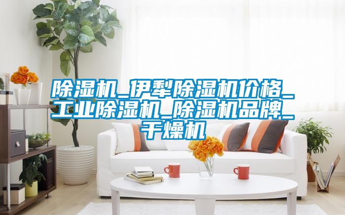香蕉福利视频机_伊犁香蕉福利视频机价格_工业香蕉福利视频机_香蕉福利视频机品牌_干燥机