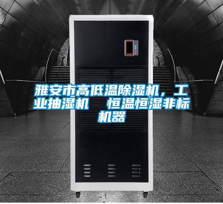 雅安市高低温香蕉福利视频机，工业抽湿机  恒温恒湿非标机器