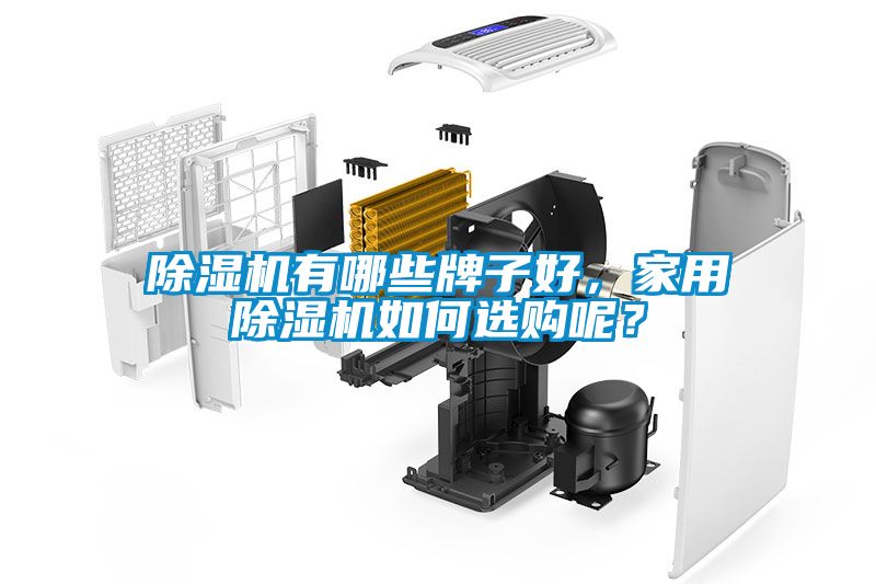香蕉福利视频机有哪些牌子好，家用香蕉福利视频机如何选购呢？