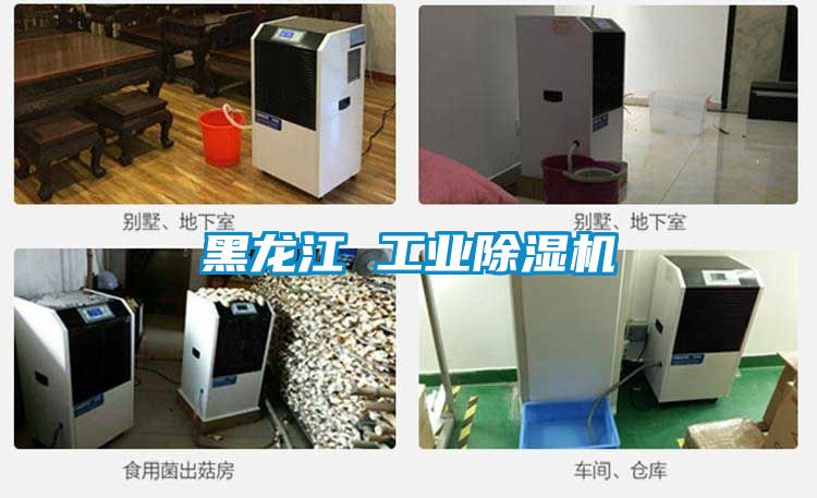 黑龙江 工业香蕉福利视频机