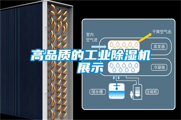 高品质的工业香蕉福利视频机展示