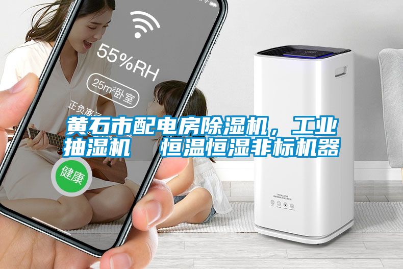 黄石市配电房香蕉福利视频机，工业抽湿机  恒温恒湿非标机器