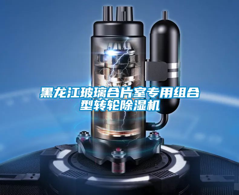 黑龙江玻璃合片室专用组合型转轮香蕉福利视频机