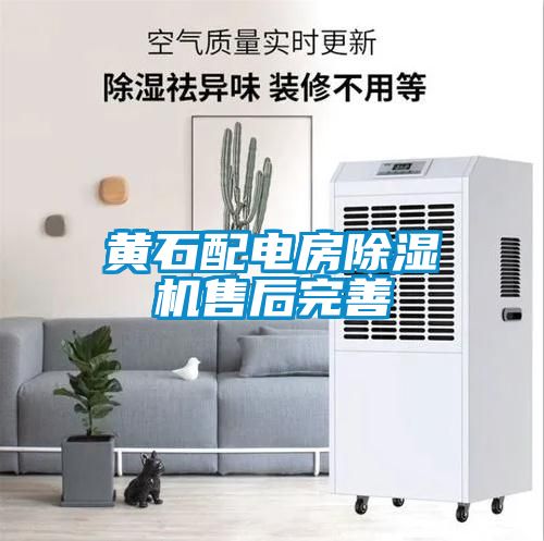 黄石配电房香蕉福利视频机售后完善