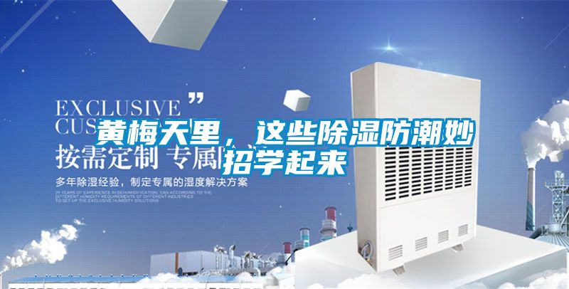 黄梅天里，这些香蕉福利视频防潮妙招学起来