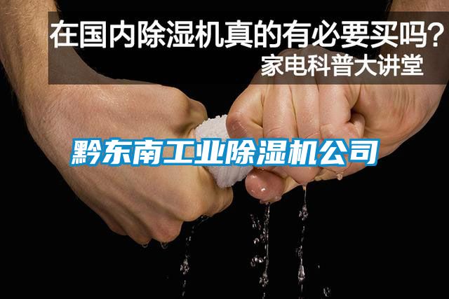 黔东南工业香蕉福利视频机公司