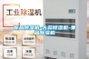 食品香蕉福利视频机-大蒜香蕉福利视频机-果品香蕉福利视频机