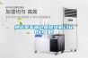 地下室车间仓库香蕉福利视频机cf6.8kg／h