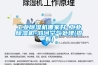 工业香蕉福利视频机哪家好-工业香蕉福利视频机-鸿河空气处理(查看)