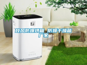 企业成人香蕉在线观看鼓风防爆烘箱 防爆干燥箱厂家