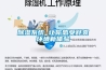 香蕉福利视频系统 让你感受舒爽环境新体验