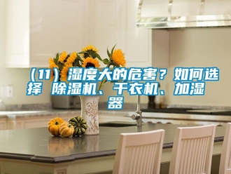 企业成人香蕉在线观看（11）湿度大的危害？如何选择 香蕉福利视频机、干衣机、加湿器