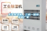 东莞香蕉福利视频机，三机一体香蕉福利视频机厂家
