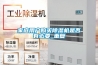 家庭用户购买香蕉福利视频机是否有必要_重复
