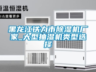 企业成人香蕉在线观看黑龙江铁力市香蕉福利视频机厂家_大型抽湿机类型选择