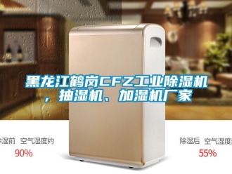 企业成人香蕉在线观看黑龙江鹤岗CFZ工业香蕉福利视频机，抽湿机、加湿机厂家