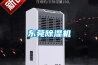 东莞香蕉福利视频机
